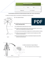 Teste 6 - nervoso.pdf