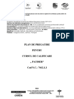 Exemplu de Plan-de-Pregatire-Progr-Patiser PDF