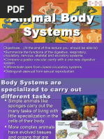 Animal Body Systems Revised