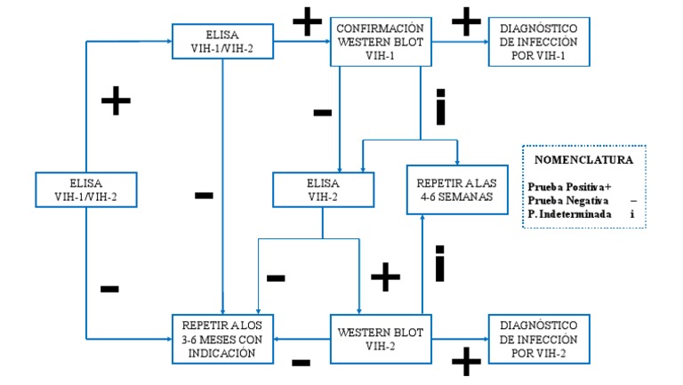 Elisa Vih 1 Vih 2 Confirmacion Western Blot Vih 1 Diagnostico De Infeccion Por Vih 1