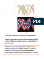 LS1 - Procaryotes