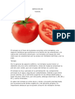 Tomate Definición