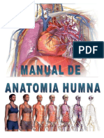 Nuestro Cuerpo Humano y Su Interior