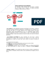 Aparato Reproductor Femenino y Masculino