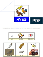 Actividades Aves PDF