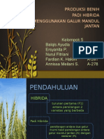 PRODUKSI BENIH PADA