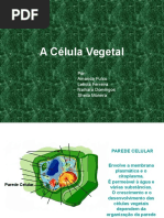 A Célula Vegetal