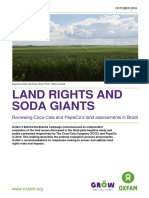 Land Rights and Soda Giants: Reviewing Coca-Cola's and PepsiCo's Land Assessments in Brazil