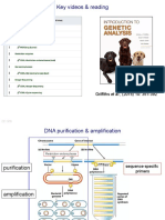 Key Videos & Reading: Griffiths Et Al., (2015) 10: 351-392