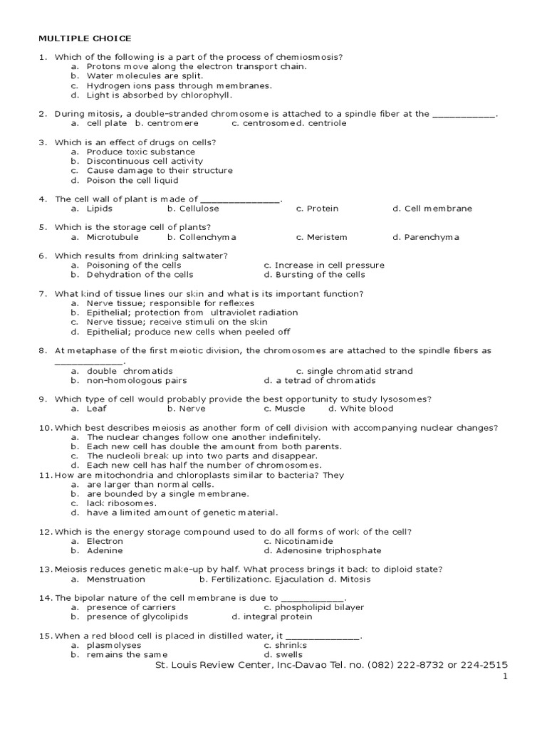 Fillable Online Snurfle Meiosis Worksheet Fax Email Print