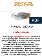 Pineal Print