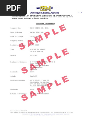 Sample Roc Pdf Balance Sheet Financial Accounting