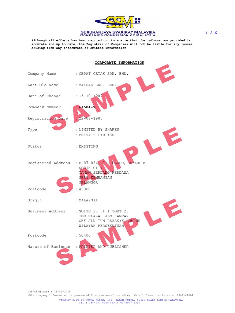 Sample Roc | Balance Sheet | Financial Accounting
