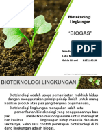 Biogas