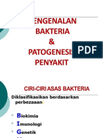 PENGENALAN BAKTERIA DAN PATOGENESIS PENYAKIT