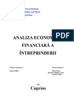 Proiect Economia Afacerilor