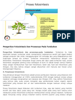 Pengertian Fotosintesis Dan Prosesnya Pada Tumbuhan