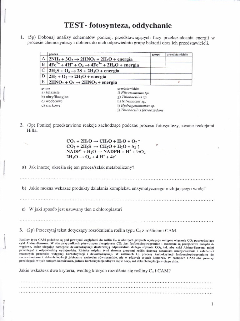 metabolizm-test-pdf