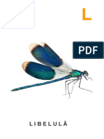 Insect e