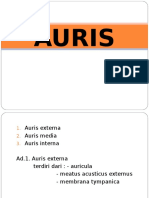 Auris 1