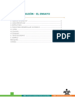 Ensayo.pdf