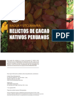 Bagua y Utcubamba Relictos de Cacao Nativos Peruanos