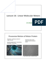 Lecture 16: Linear Molecular Motors: Processive Motion of Motor Protein