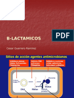 b Lactamicos