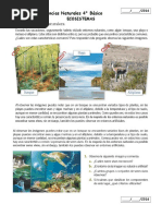 Guia Ecosistemas 4°