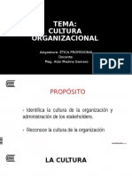 13. Cultura y Clima Organizacional 