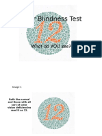 Color Blindess Test