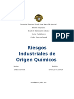 Riesgos Industriales Quimicos