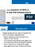Introduction of SHA-2 in The EGI Infrastructure