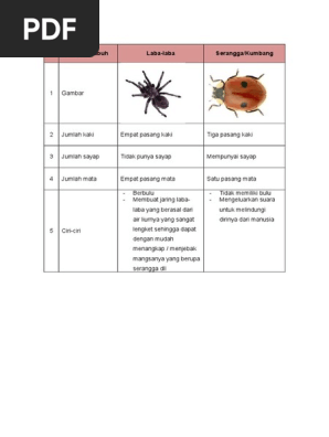 Ciri Ciri Laba Kumbang Pdf
