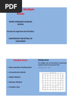 Chapter 3.1: Multiple Roots: Pedro Fernando Quiroga Novoa