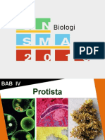 Bab 4 Protista