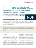 Eae Recommendations Assessment Valvular Regurgitation