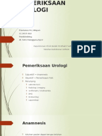 Pemeriksaan Urologi Alvin