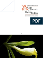 Guia ilustrada de las plantas epifitas.pdf