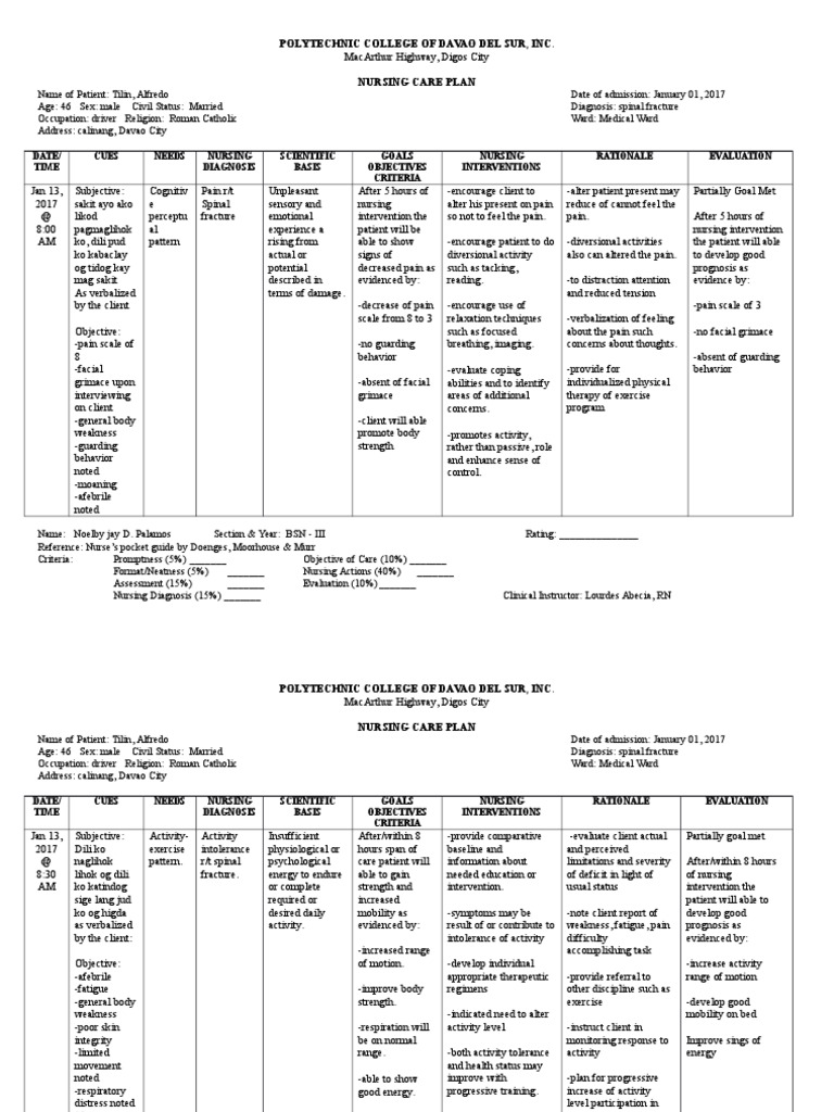 Nursing Care Plan for Spinal Fracture | PDF | Nursing | Pain
