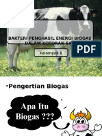 Bakteri Penghasil Energi Biogas