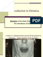Intro To Genetics b6 D b6 F