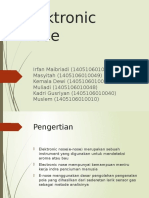 Elektronik Nose