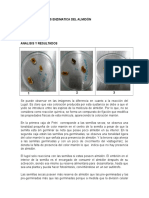 Informe Hidrólisis Enzimatica Del Almidón