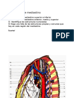 Ejercicio Sobre Mediastino