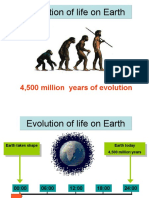 Evolution of earth