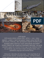 ARTHROPODA