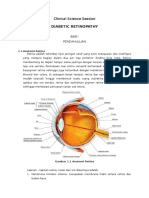 CSS Diabetic Retinopathy