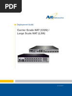 A10-Dg-Carrier Grade Nat CGN Large Scale Nat LSN