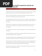 Reflexologia Auxilia Organismo Através de Estimulos Nos Pés